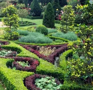 tu jardín con nutrientes y abono