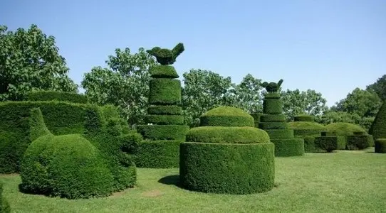 Empresa de jardinería mantenimientos